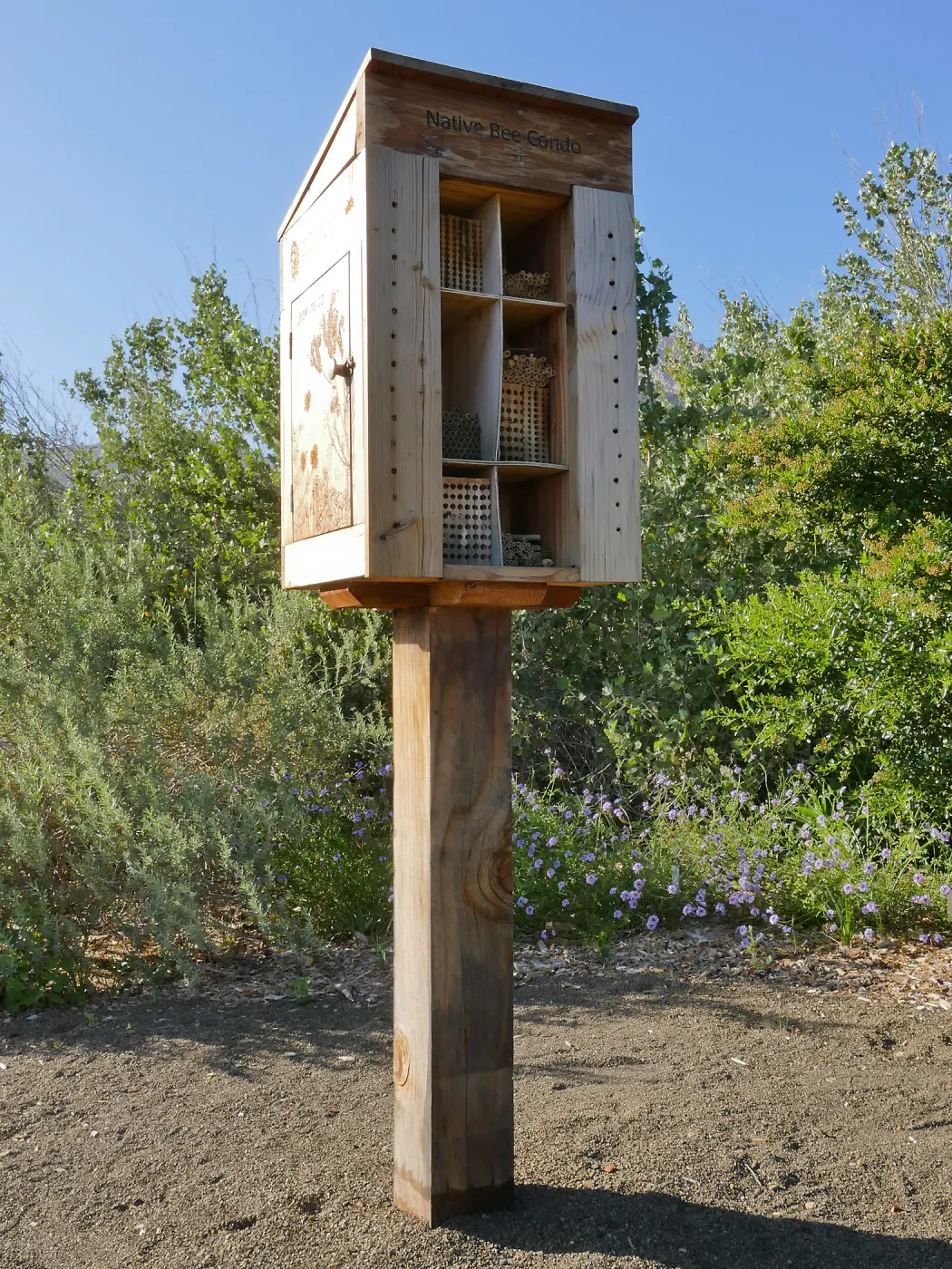 Native Bee Condo on the Porter Trail