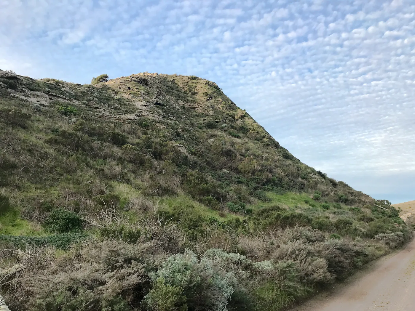 Hills and Clouds, Main road from Santa Rosa Island Research Station Lodge