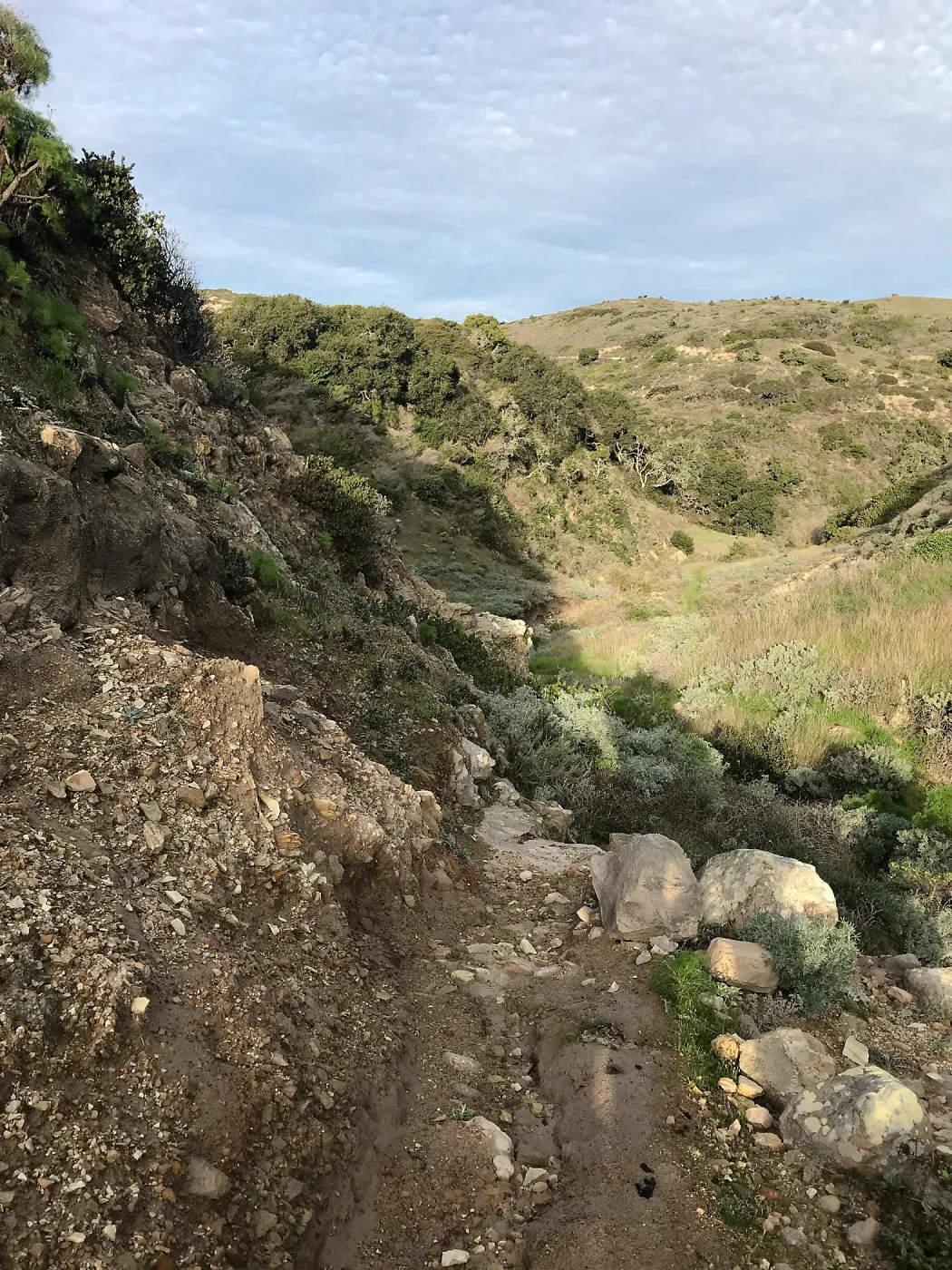 Trail and canyon walls, Cherry Canyon