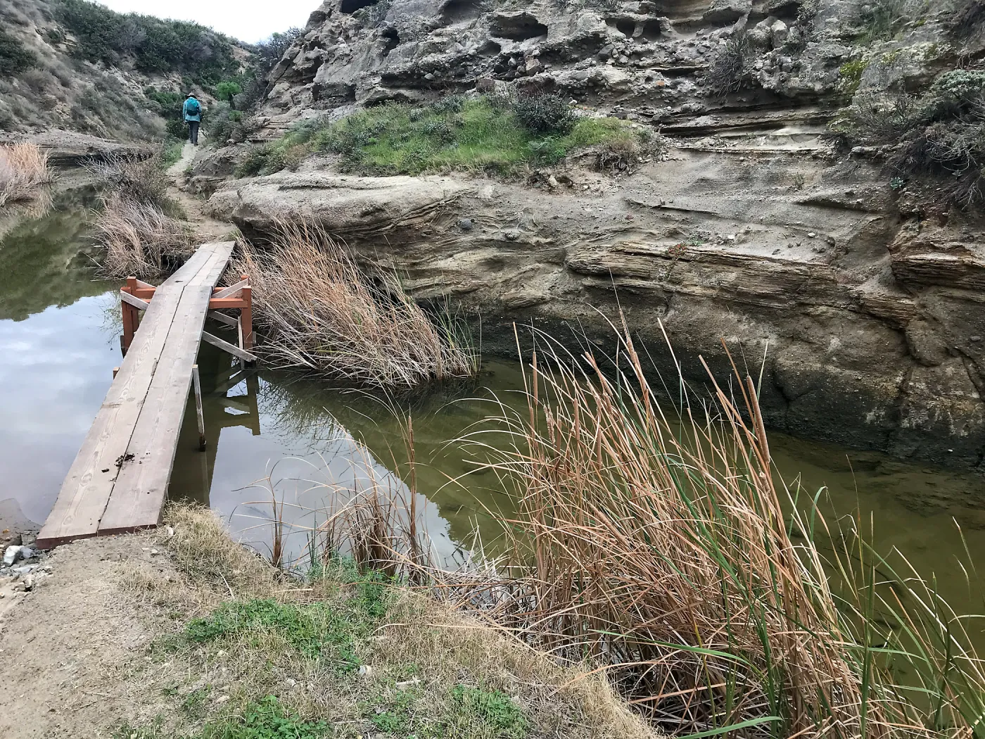 Footbridge, Water Canyon
