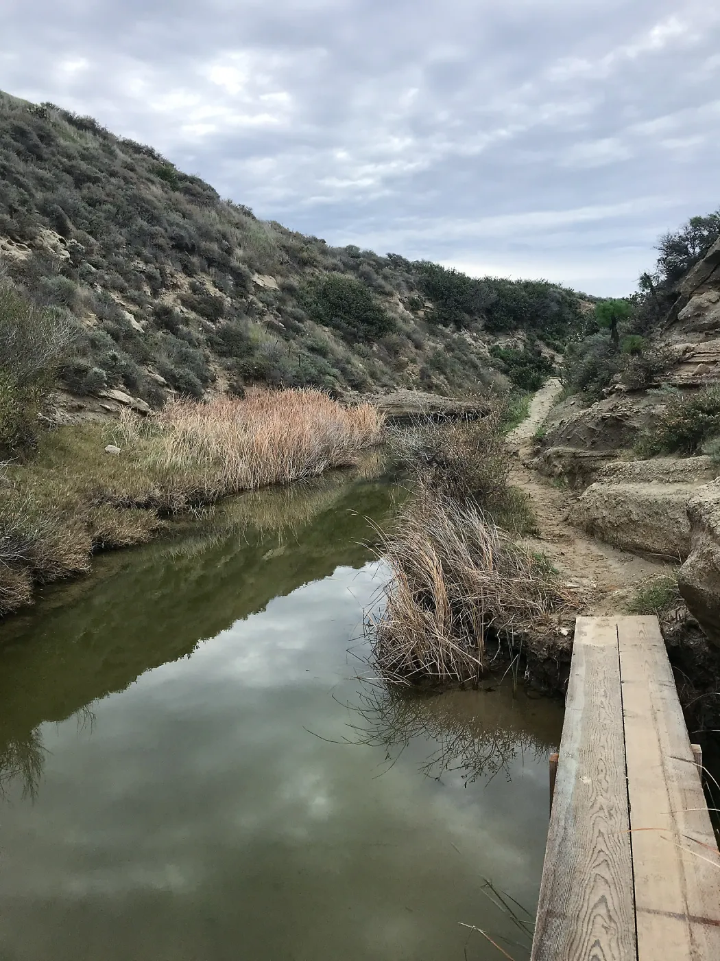 Footbridge, Water Canyon