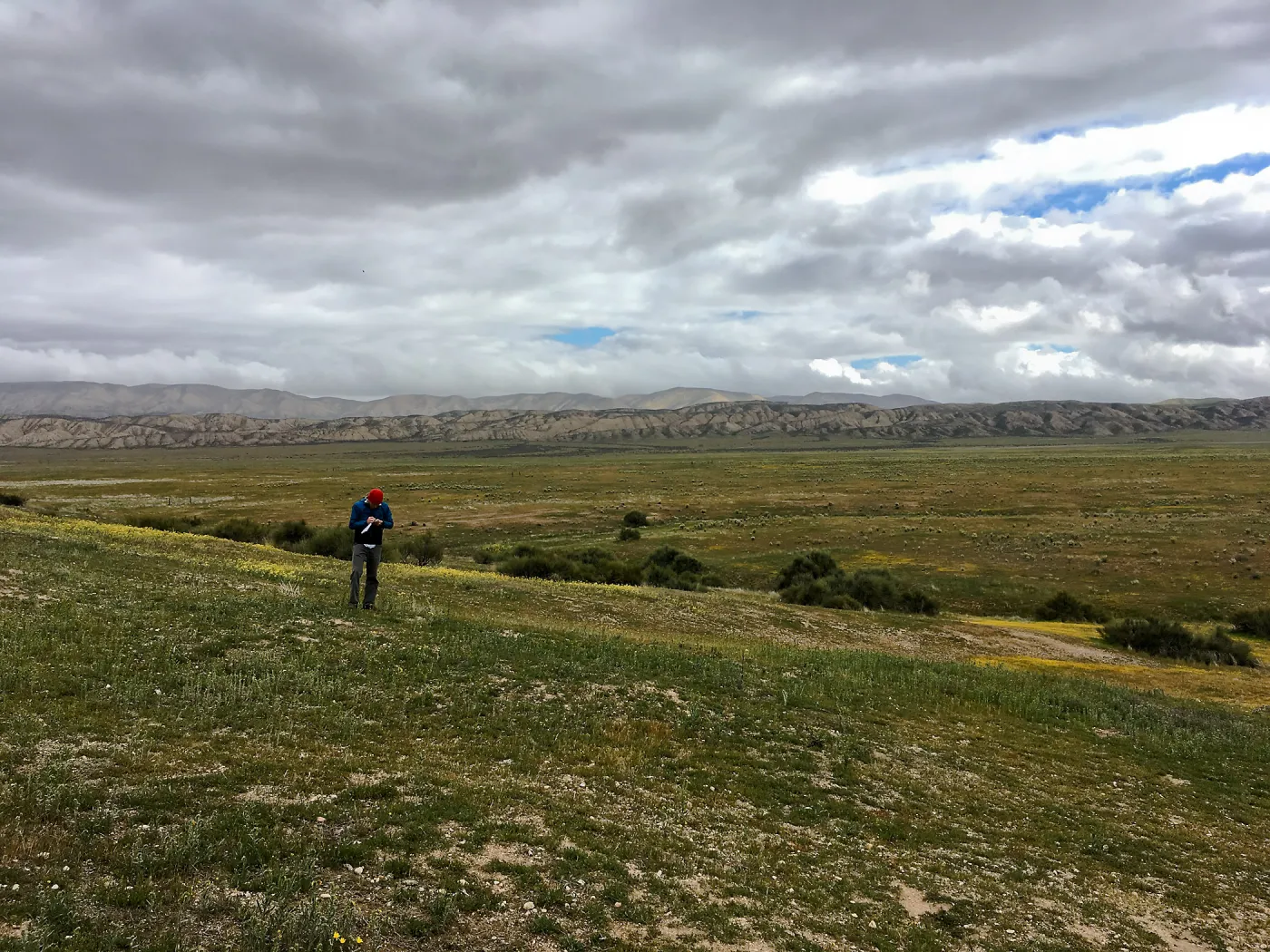 Sean Carson surveying for endangered California jewelflower
