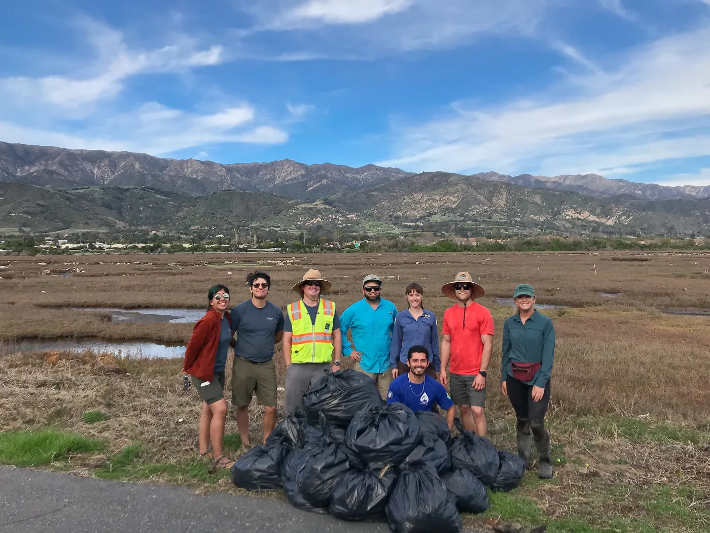 SBBG Conservation team works with partners from Tidal Influence and the Upper Salinas-Las Tablas Resource Conservation District to remove 520lbs of sea-lavender from experimental plots in Carpinteria Salt Marsh.