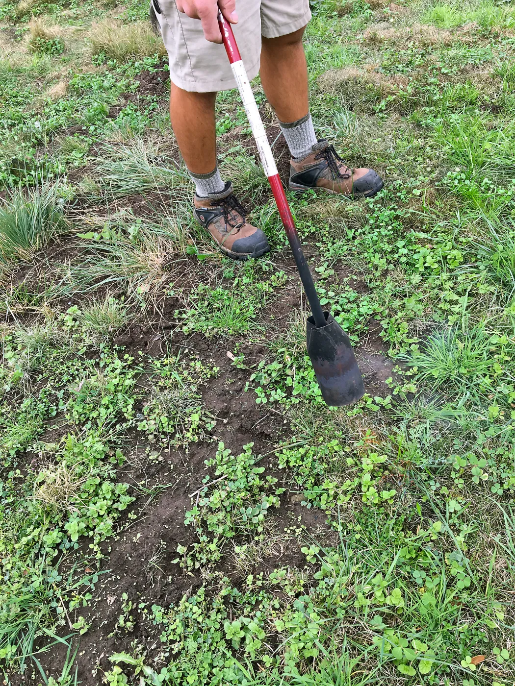 Using propane torch to kill weed seedlings in the Meadow