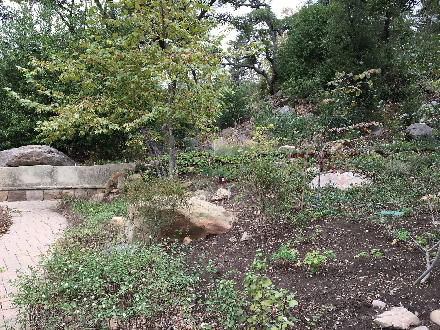 Campbell Bench, Wooded Dell garden