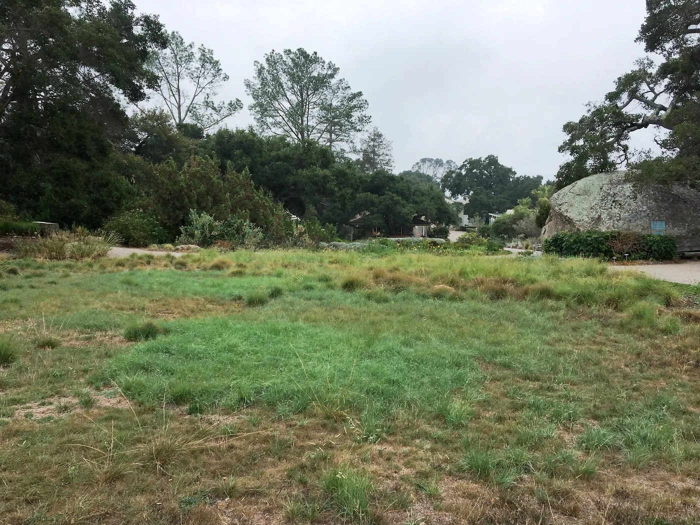 Meadow revival progress