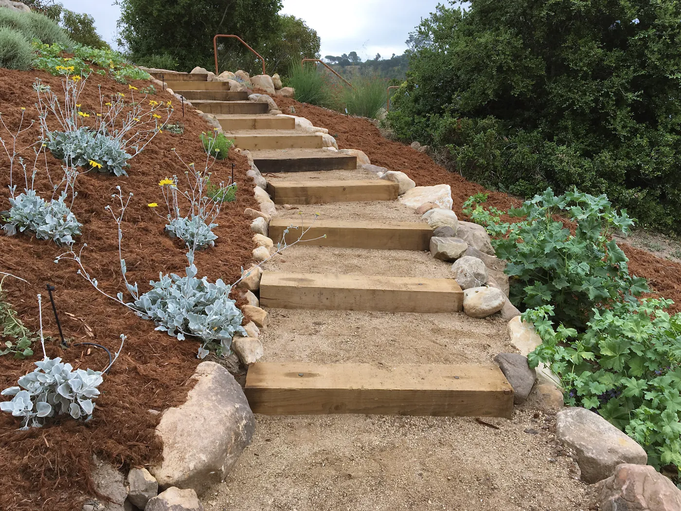 Completed trail in new Island Section