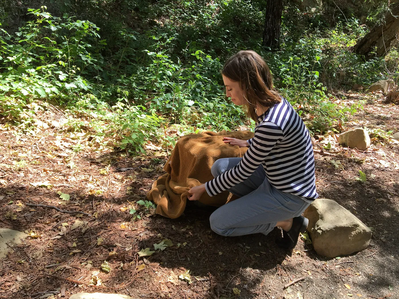 Releasing orphaned grey squirrel in Redwood section