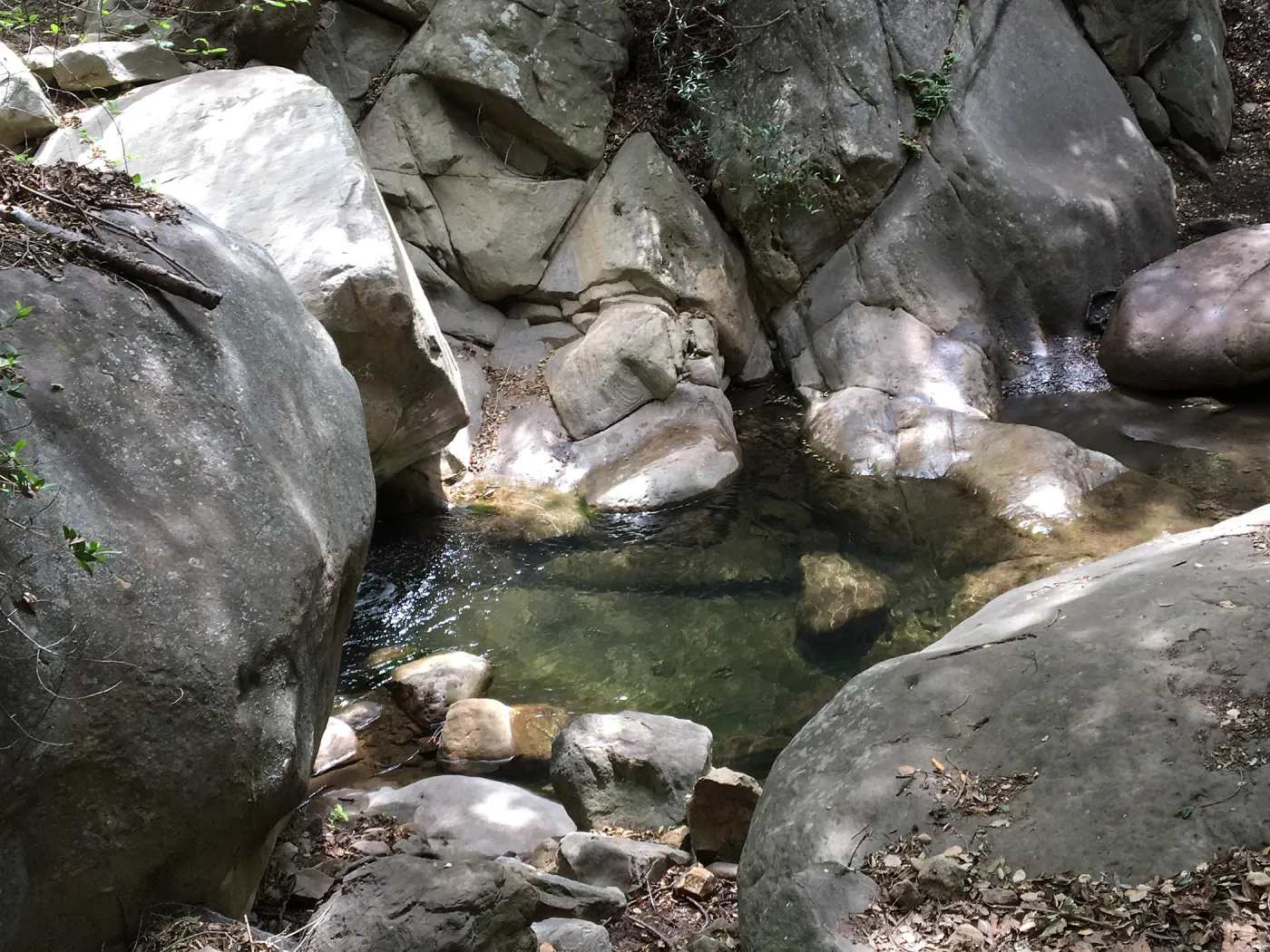 Rattlesnake Creek on Rattlesnake Trail