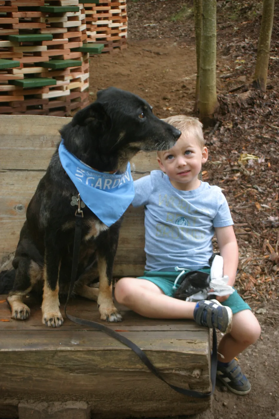 Boy and dog at the Hives Casita