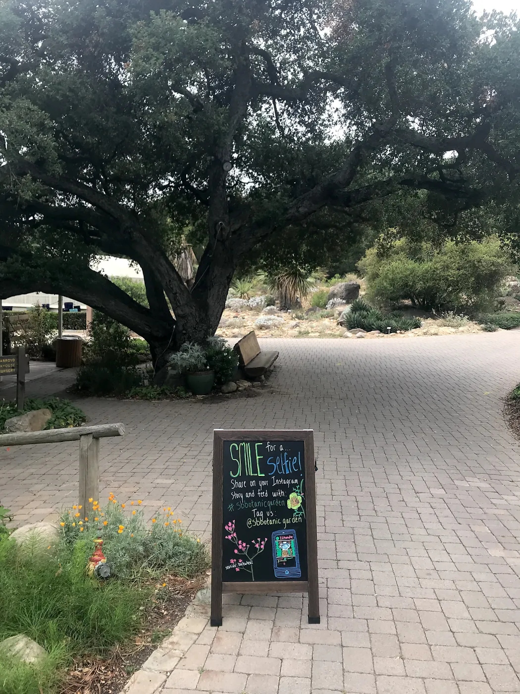 Instagram selfie chalkboard sign