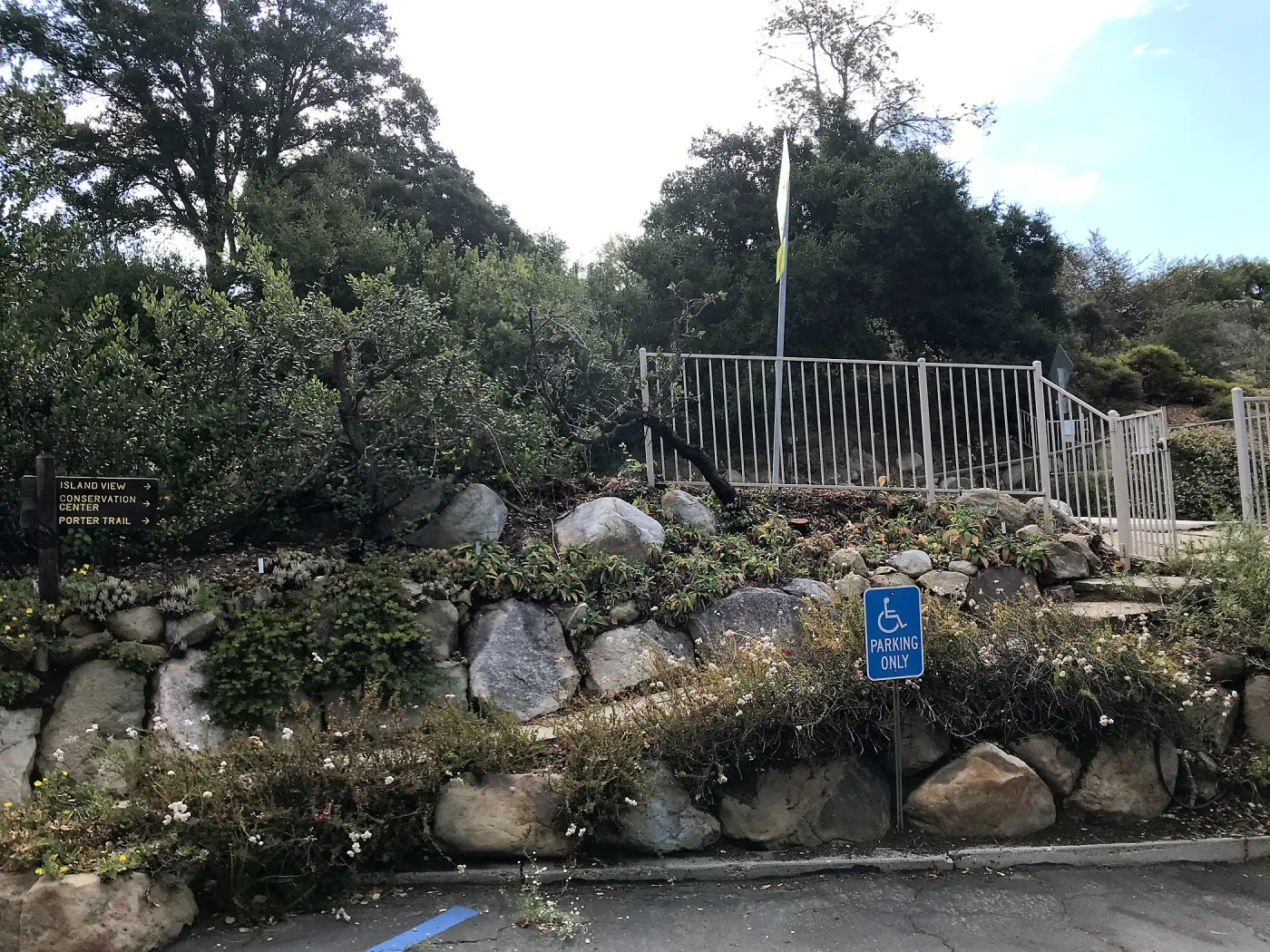Fence at Mission Canyon Road crosswalk after removal of wild grape