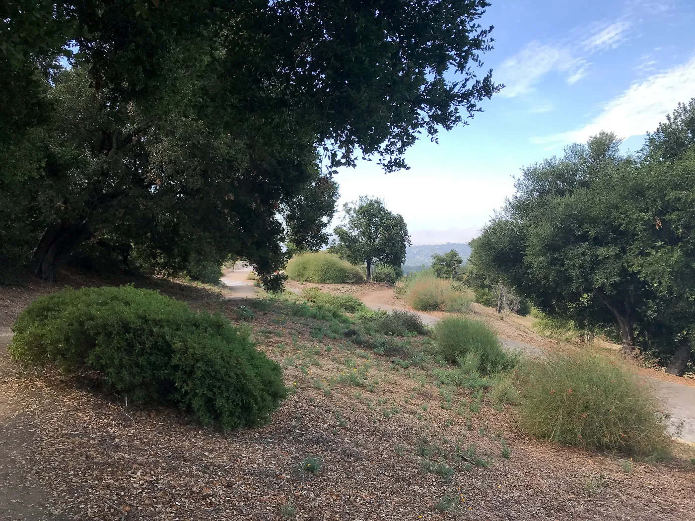 Southwest Trail, looking south