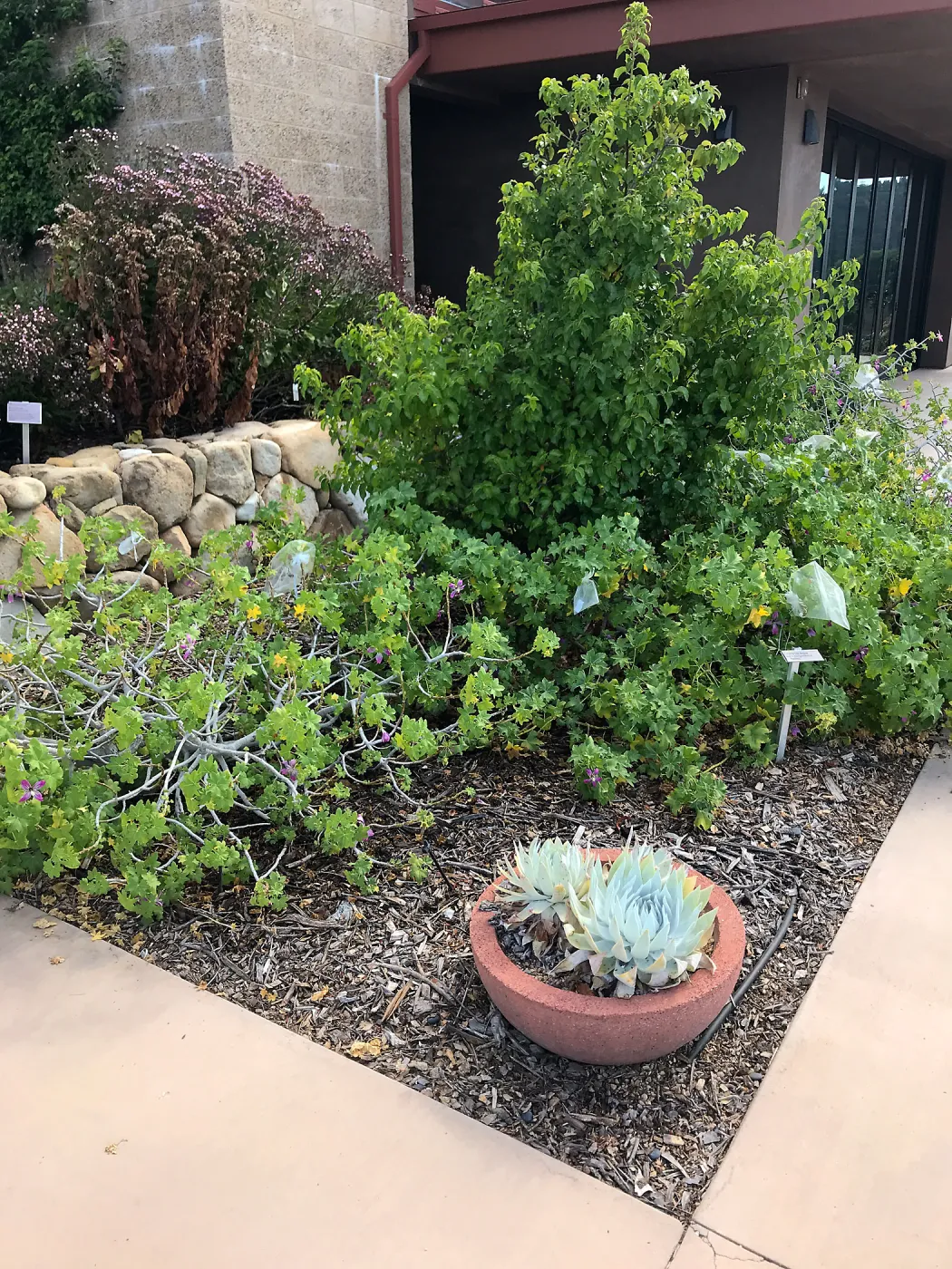 Conservation Garden