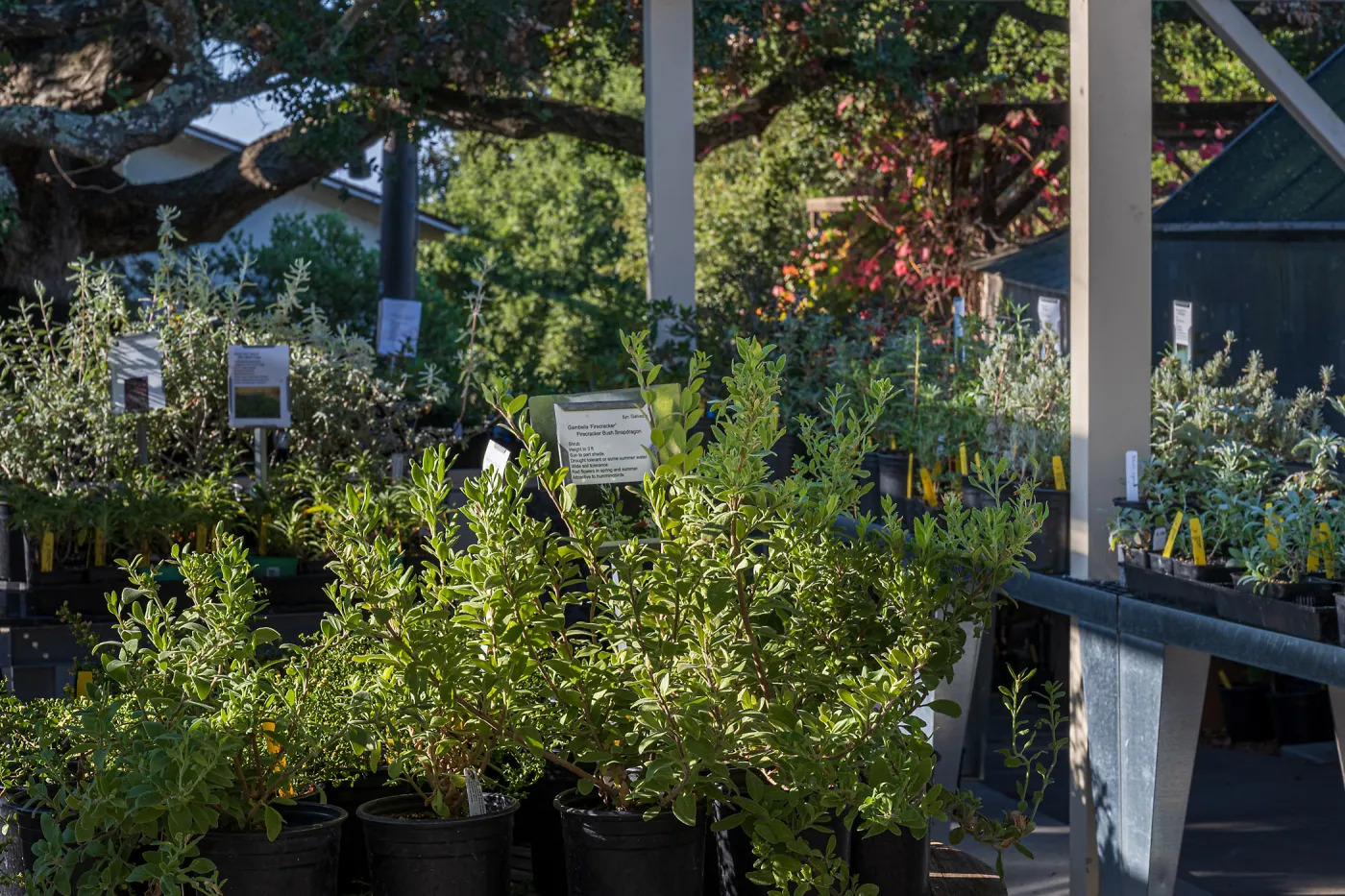 Garden Growers Nursery