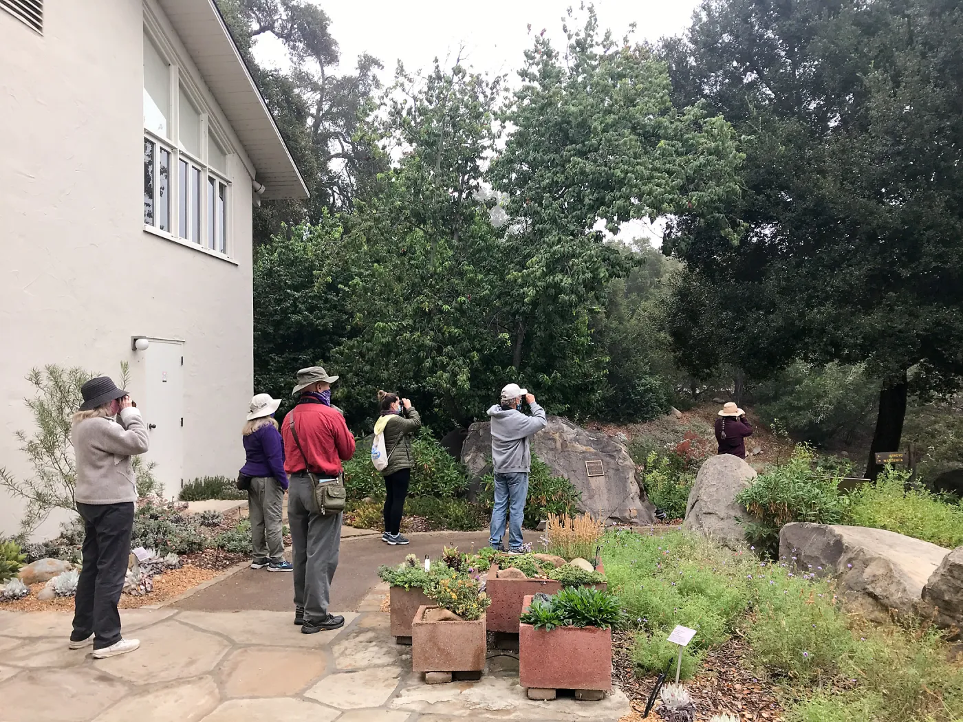 Morning Bird Walk