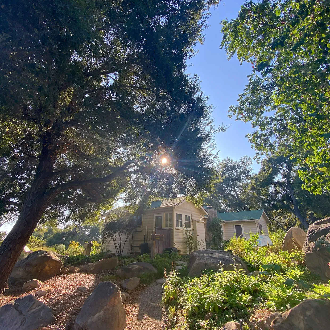 Volunteer Cottage
