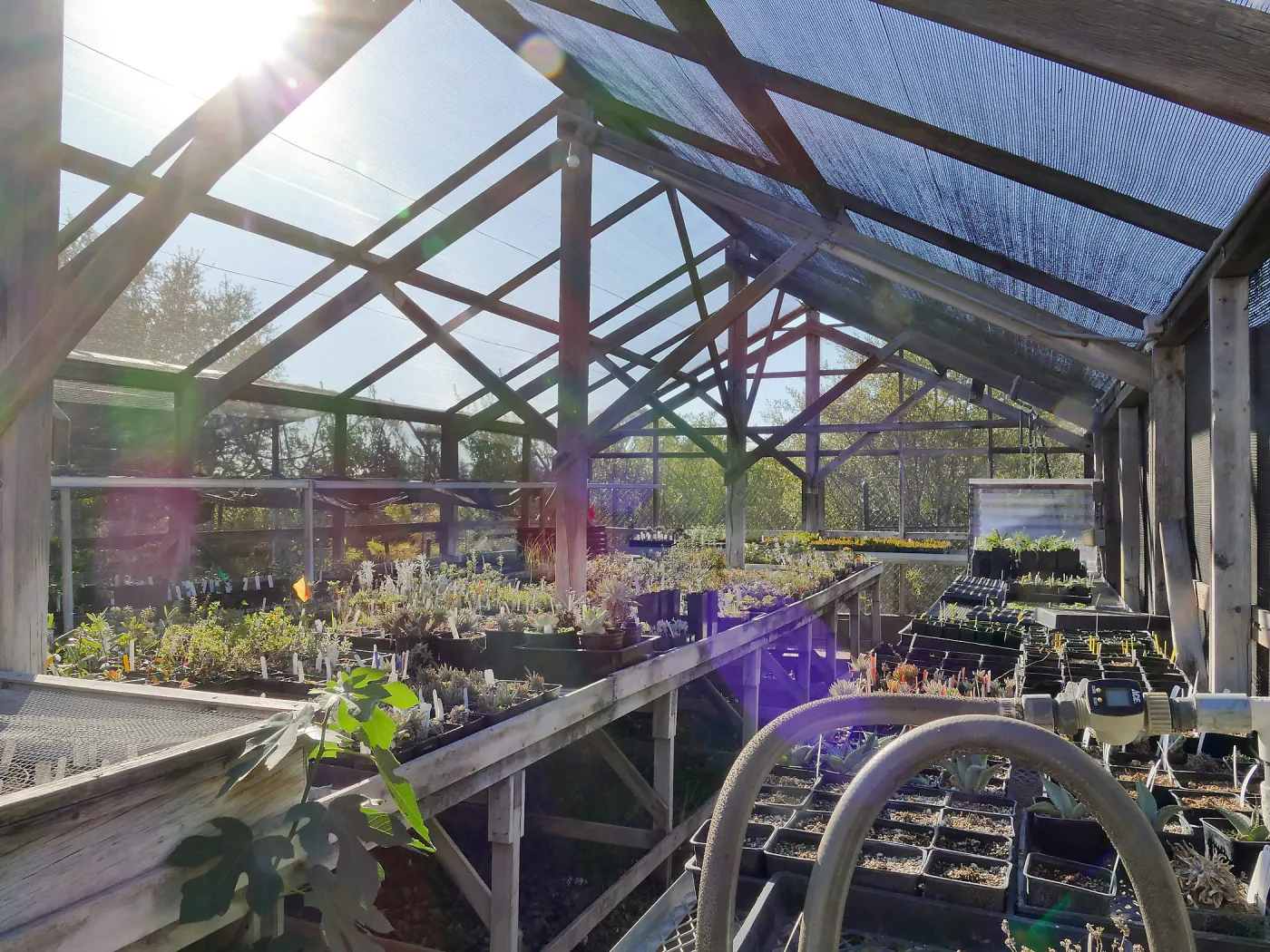 Interior of Liner House at Horticulture Unit, looking southwest