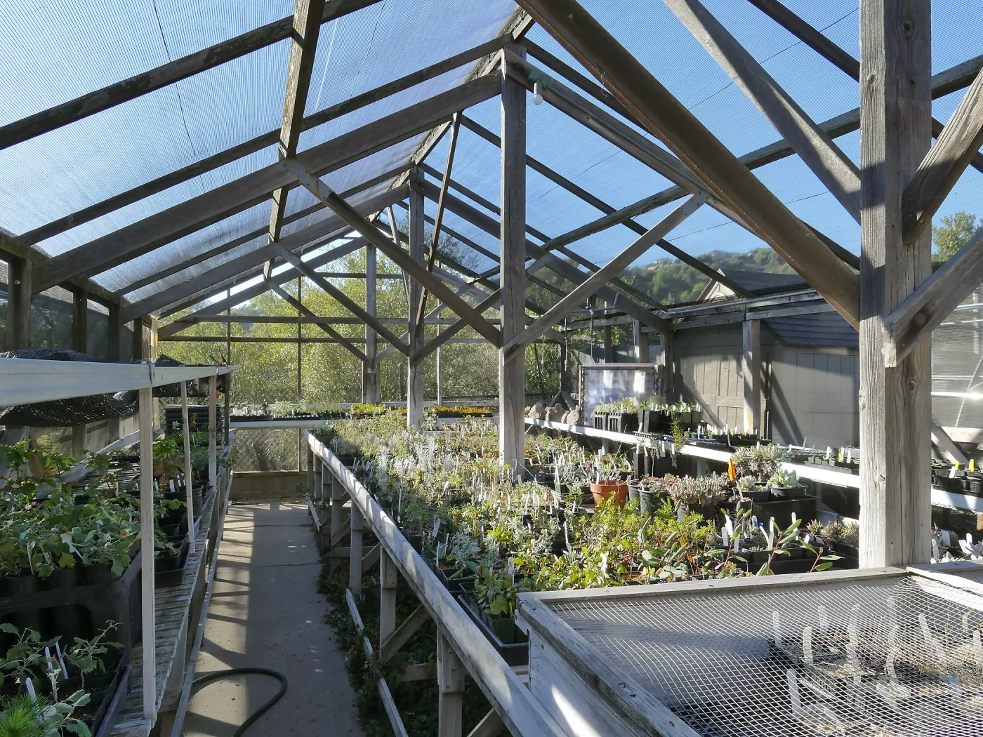 Interior of Liner House at Horticulture Unit, looking northwest