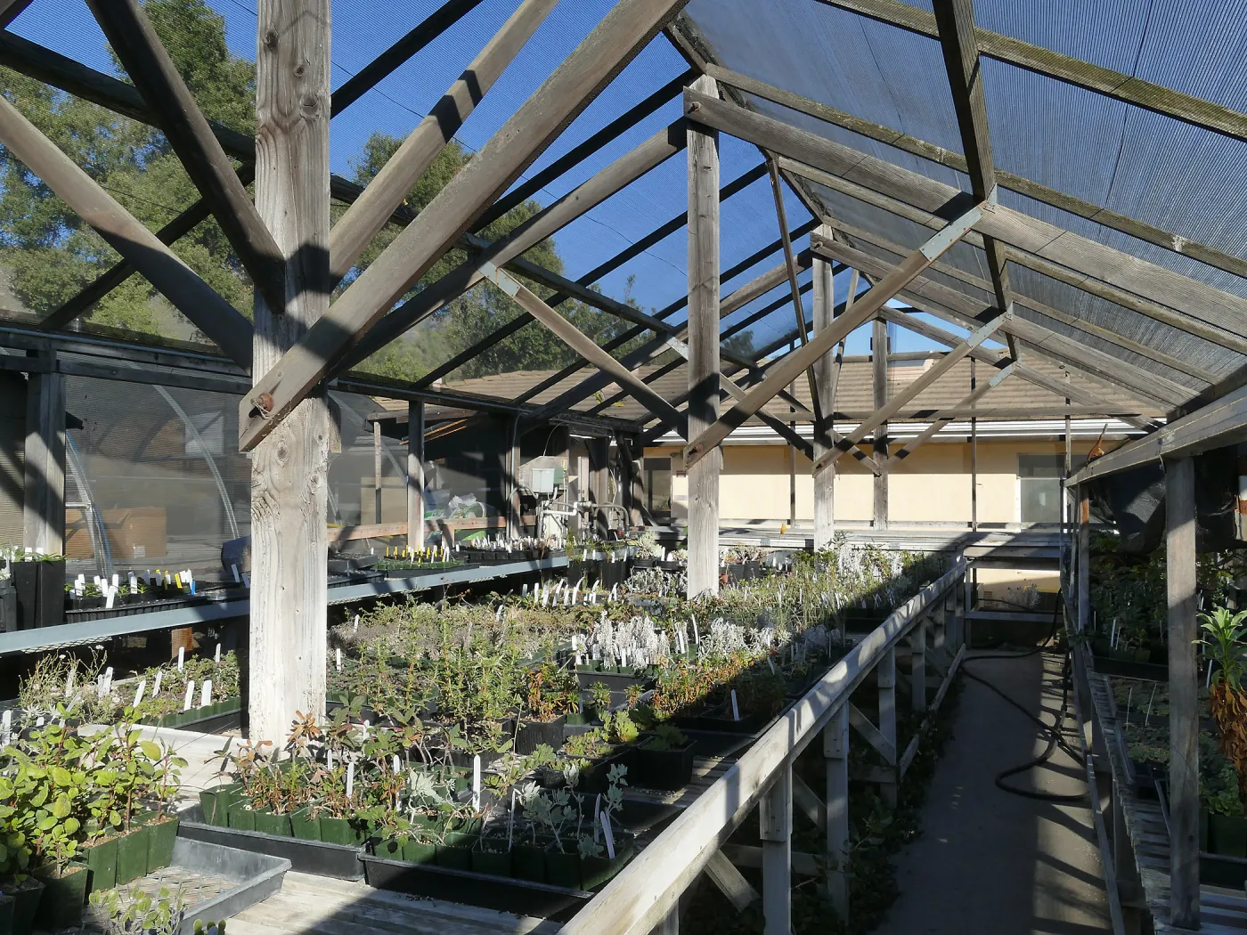 Interior of Liner House at Horticulture Unit, looking northeast