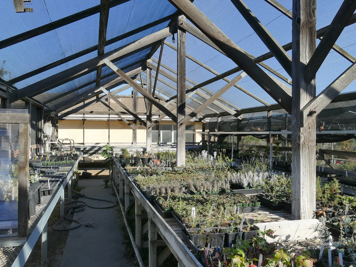 Interior of Liner House at Horticulture Unit, looking southeast