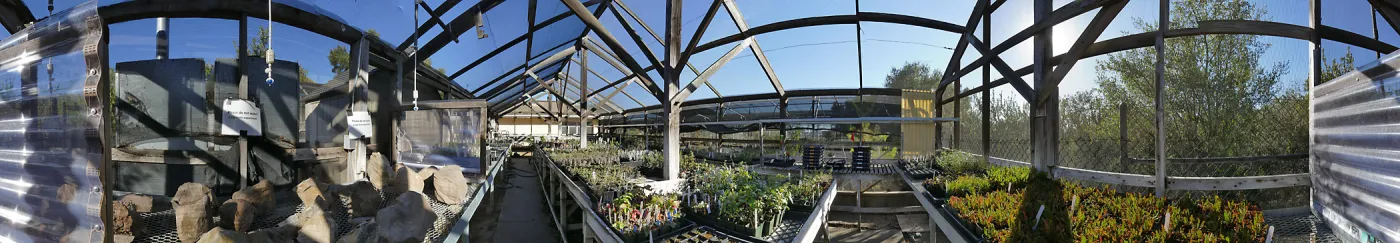 Interior Panorama of Liner House at Horticulture Unit