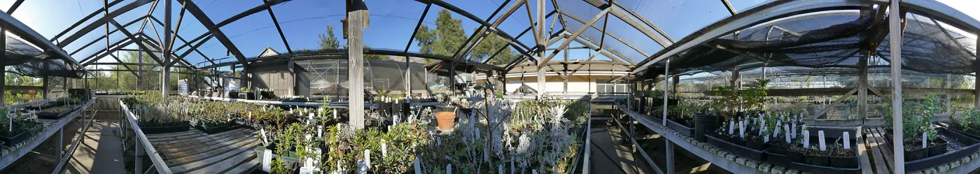 Interior Panorama of Liner House at Horticulture Unit