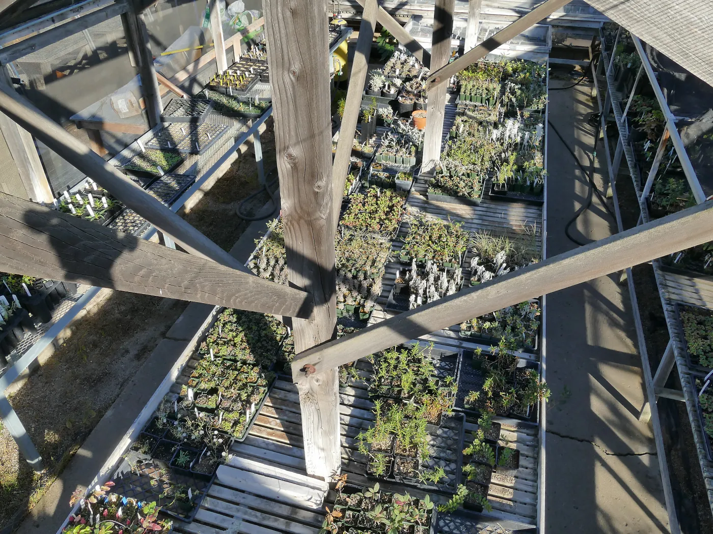 Liner House at Horticulture Unit