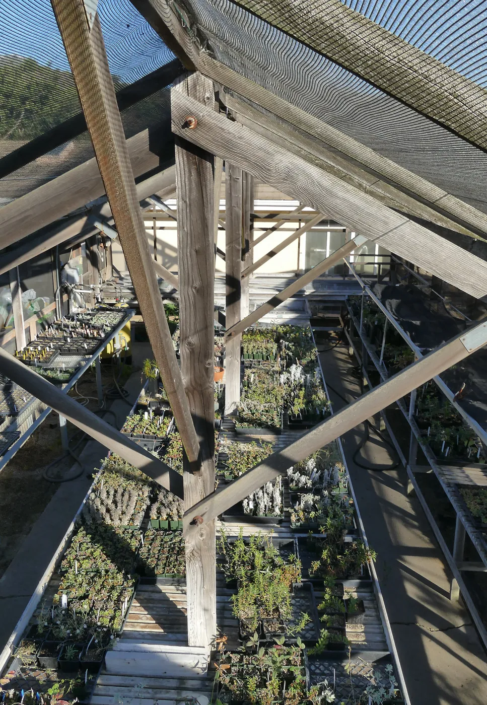 Liner House at Horticulture Unit