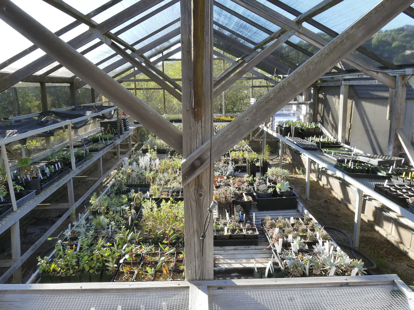 Liner House at Horticulture Unit