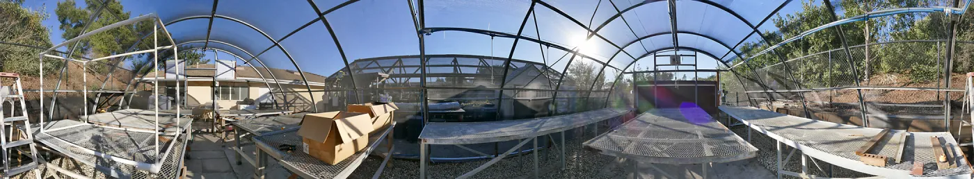 Interior Panorama of Hoop House at Horticulture Unit