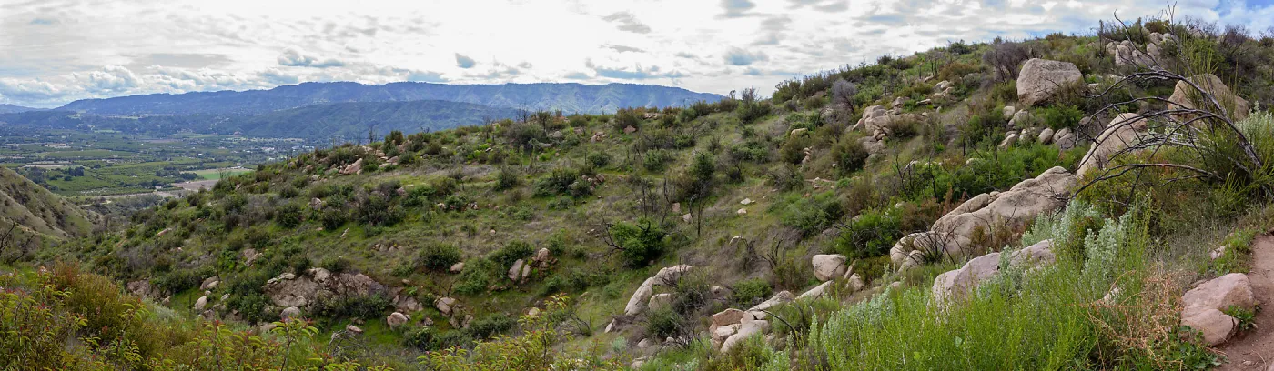 Post-burn chaparral landscape, Valley View Preserve, Ojai, California, Thomas Fire Survey - Mapping Recovery project