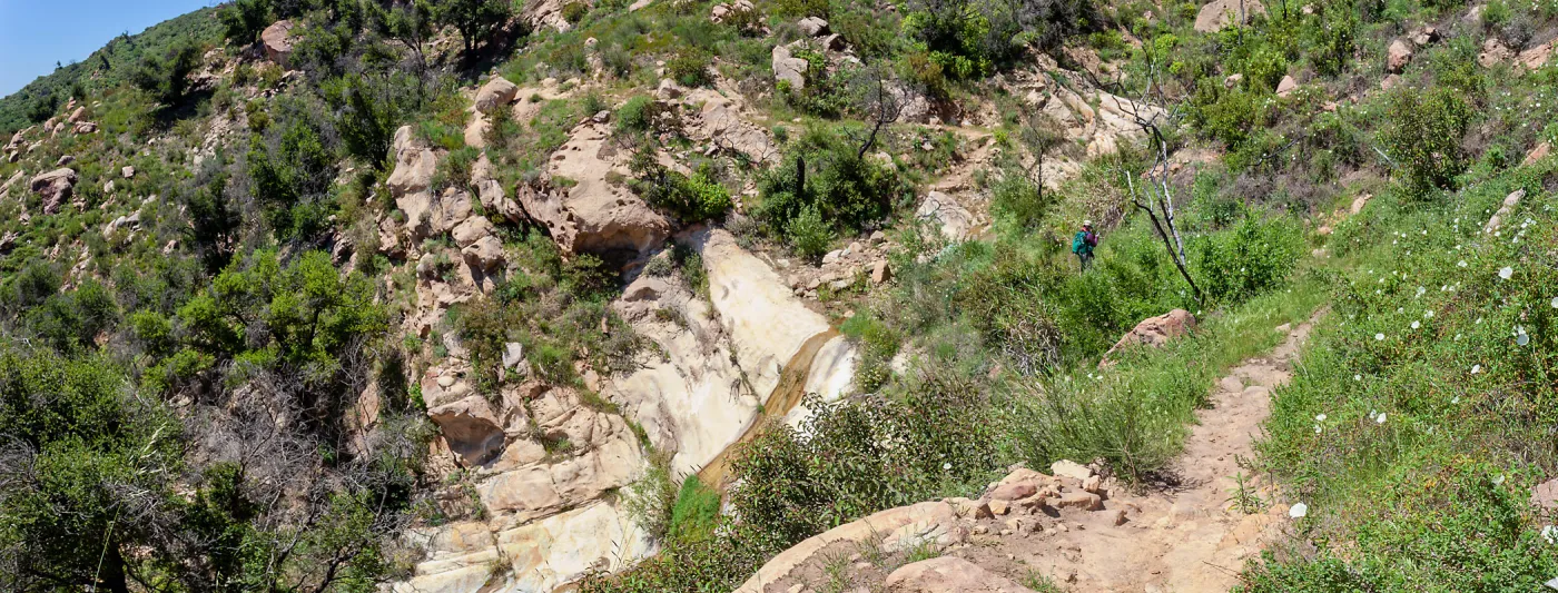 Landscape with Susanna Delgadillo surveying for invasive species and rare plants, McMenemy Trail, Santa Barbara, California, Thomas Fire Survey - Mapping Recovery project