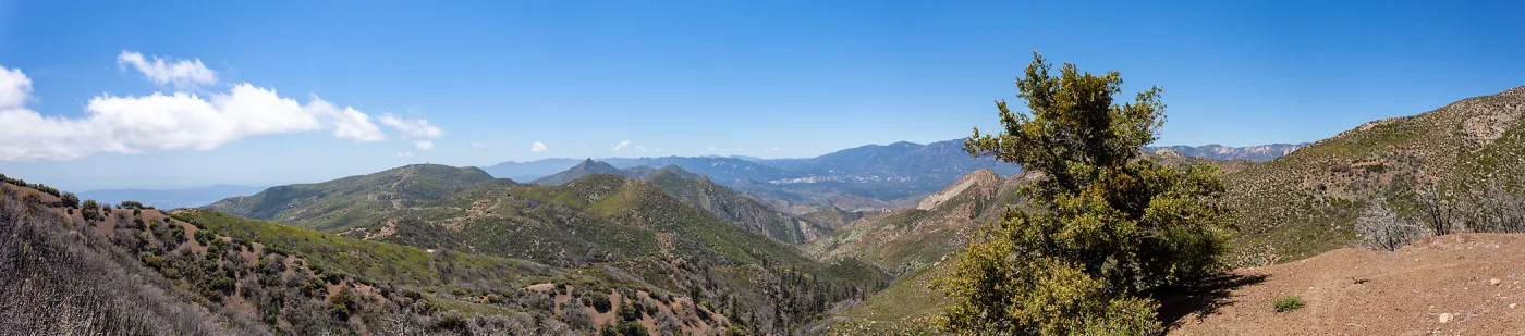 Panorama looking West over Nordhoff Ridge road towards Chief Peak, Foot path/Red reef trail east of Nordhoff Ridge Road, Ojai, CA, Thomas Fire Survey - Mapping Recovery project