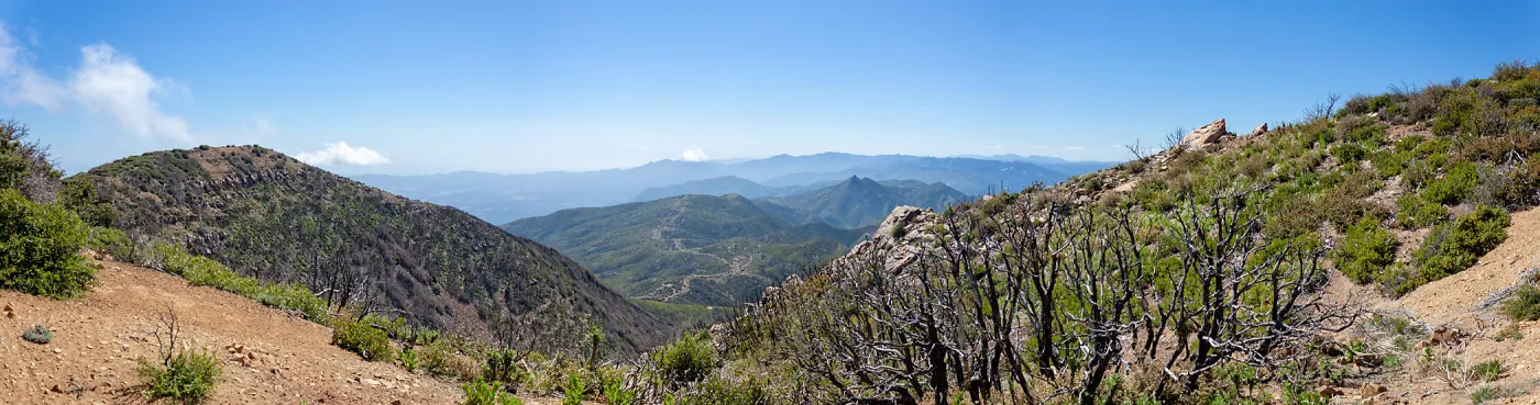 Panorama looking west towards Chief Peak taken from unnamed peak just west of Red reef/Last chance trail fork, above Topa Topa bluff, Unnamed peak near foot path/Red reef trail east of Nordhoff Ridge Road, Ojai, CA, Thomas Fire Survey - Mapping Recovery p