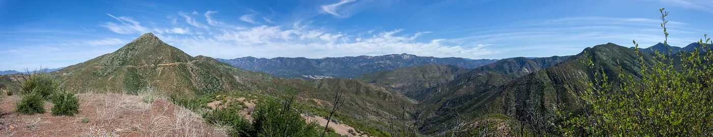 Looking west towards Chief Peak, Nordhoff Ridge Rd, Ojai, CA, Thomas Fire Survey - Mapping Recovery project
