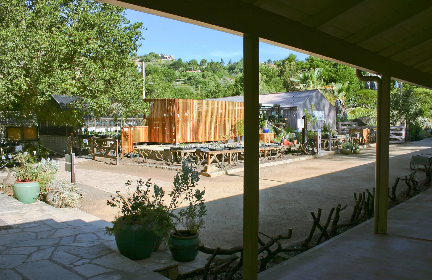 Courtyard and Garden Growers Nursery