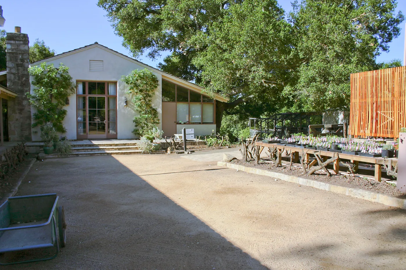 Courtyard, Blaksley Library, and Garden Growers Nursery