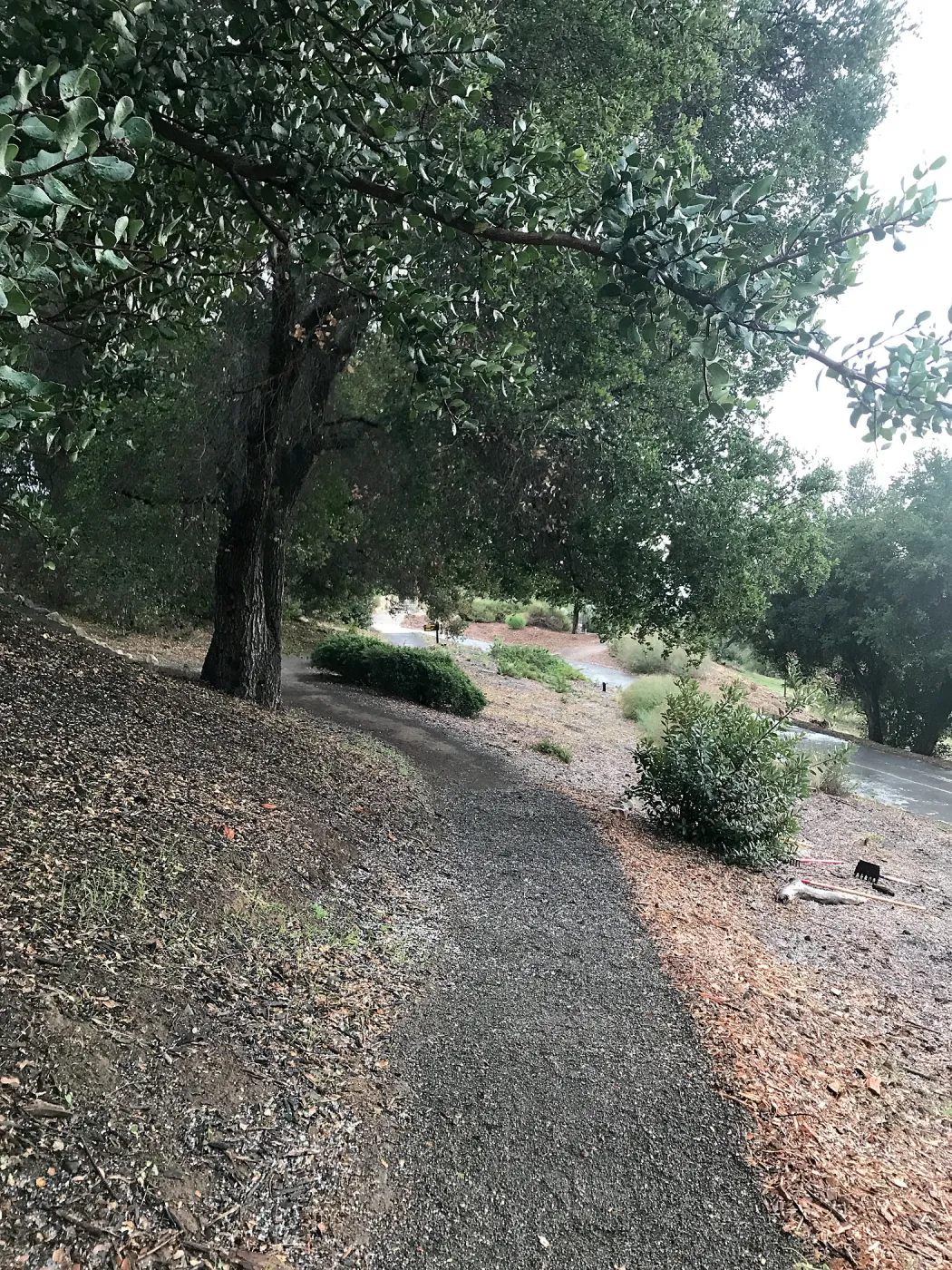 Hail on the Southwest Trail