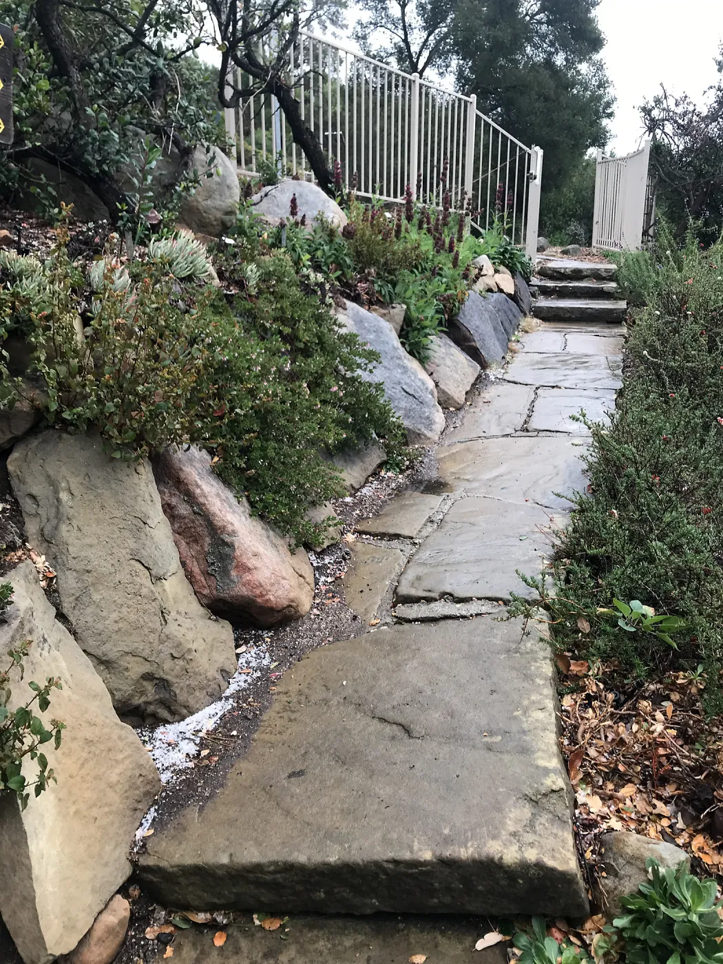 Hail near the crosswalk gate.