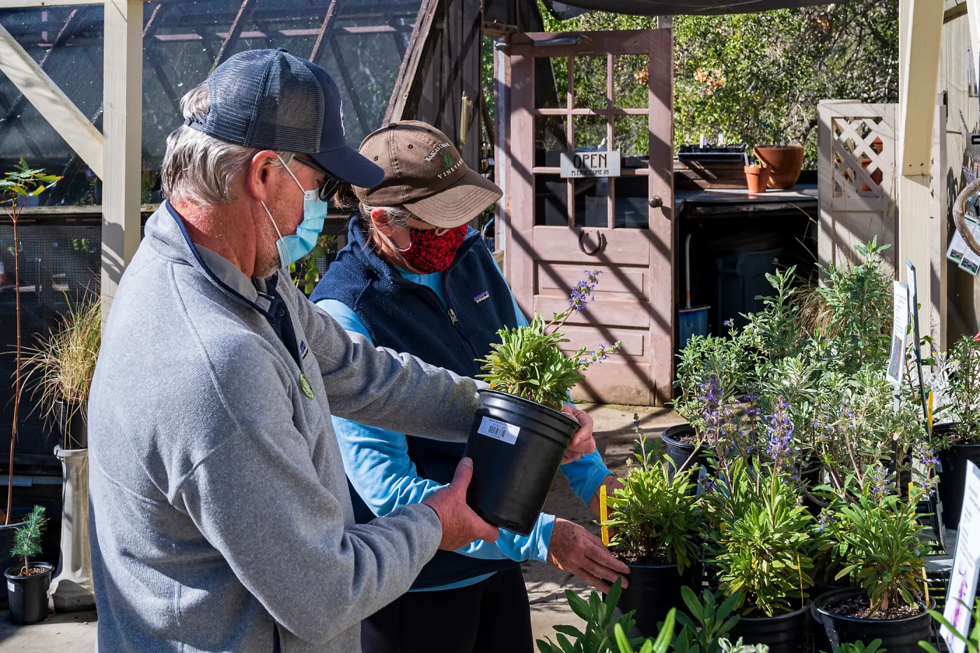Face Coverings in the Garden
