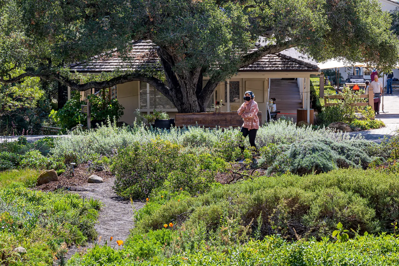 Face Coverings in the Garden