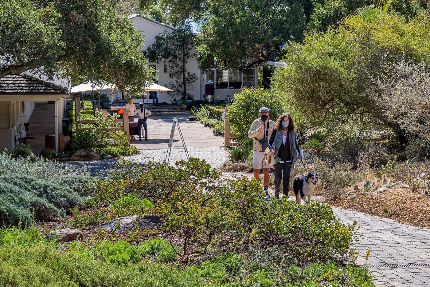 Face Coverings in the Garden