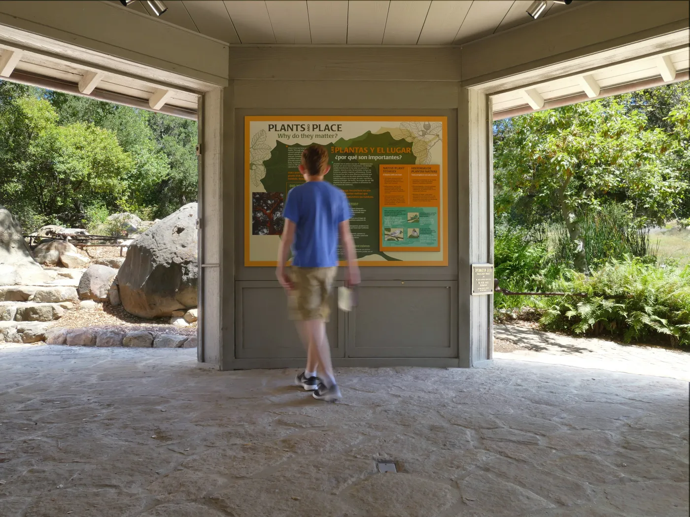 New Plants and Place interpretive panel in the Information Kiosk