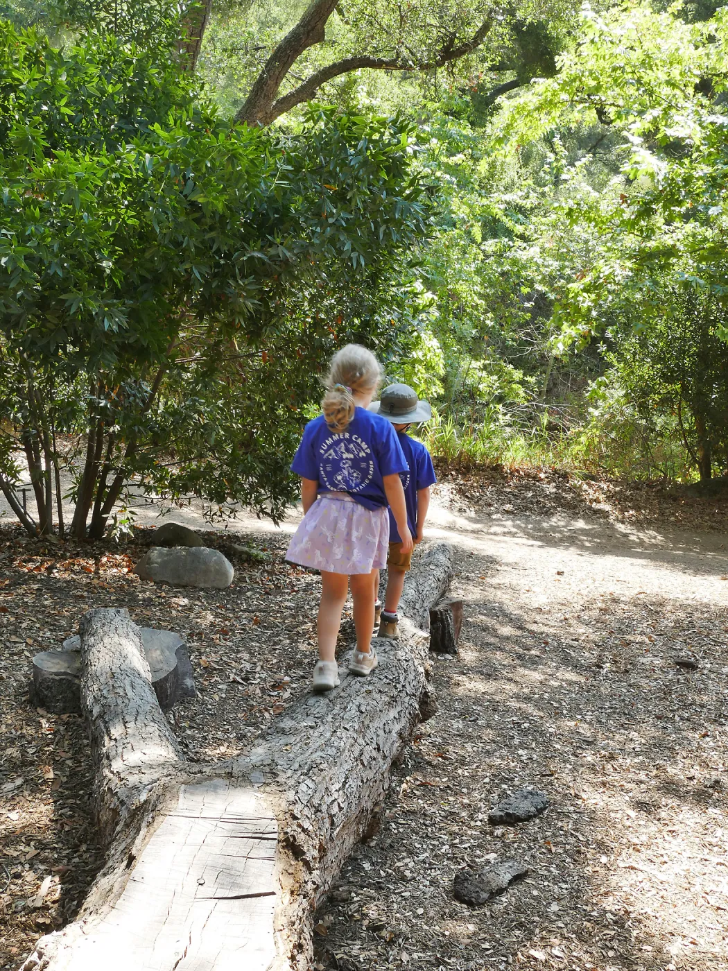 Acorn Adventurers Summer Camp at the climbing logs