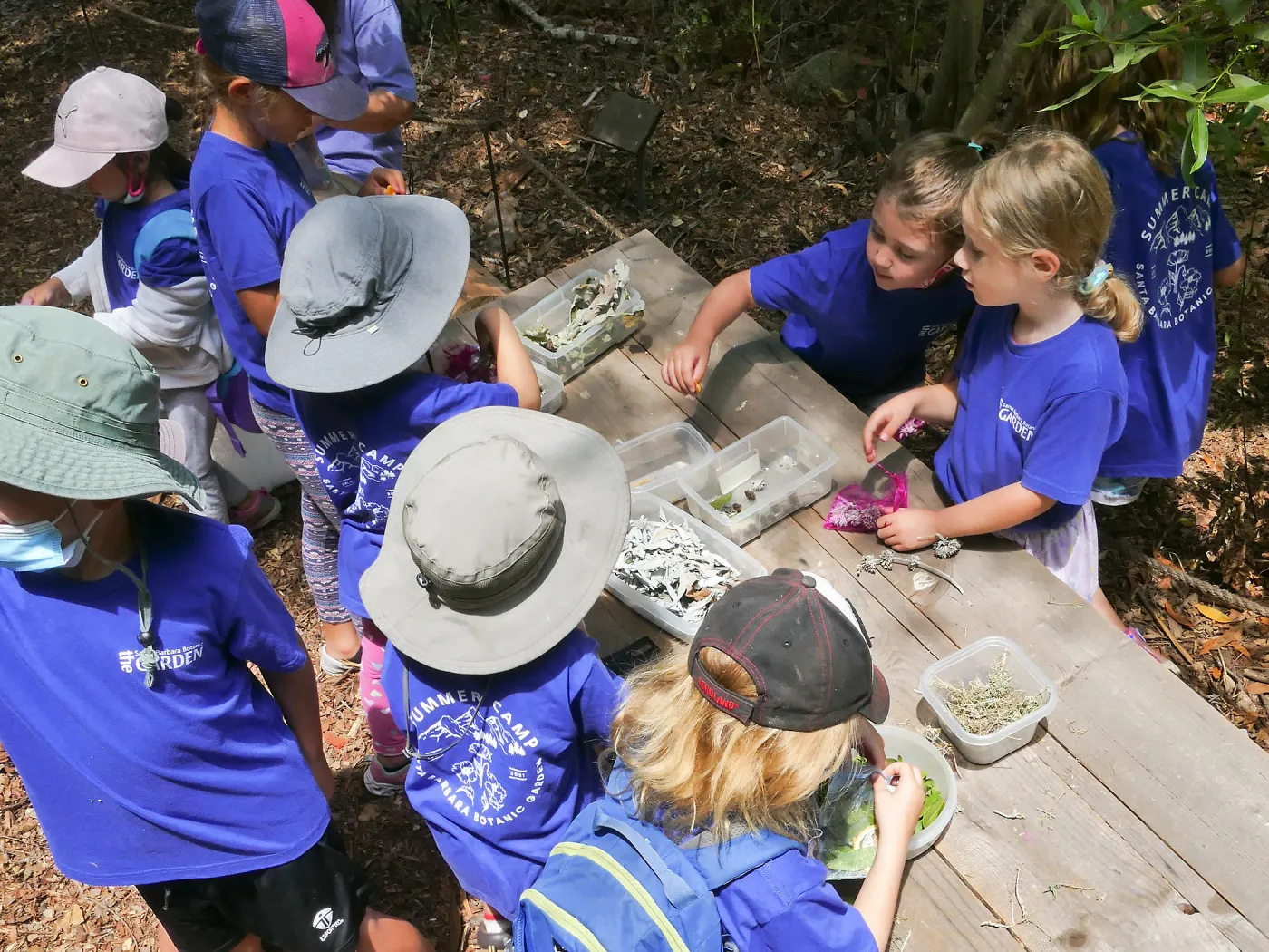 Acorn Adventurers Summer Camp Potpourri Activity