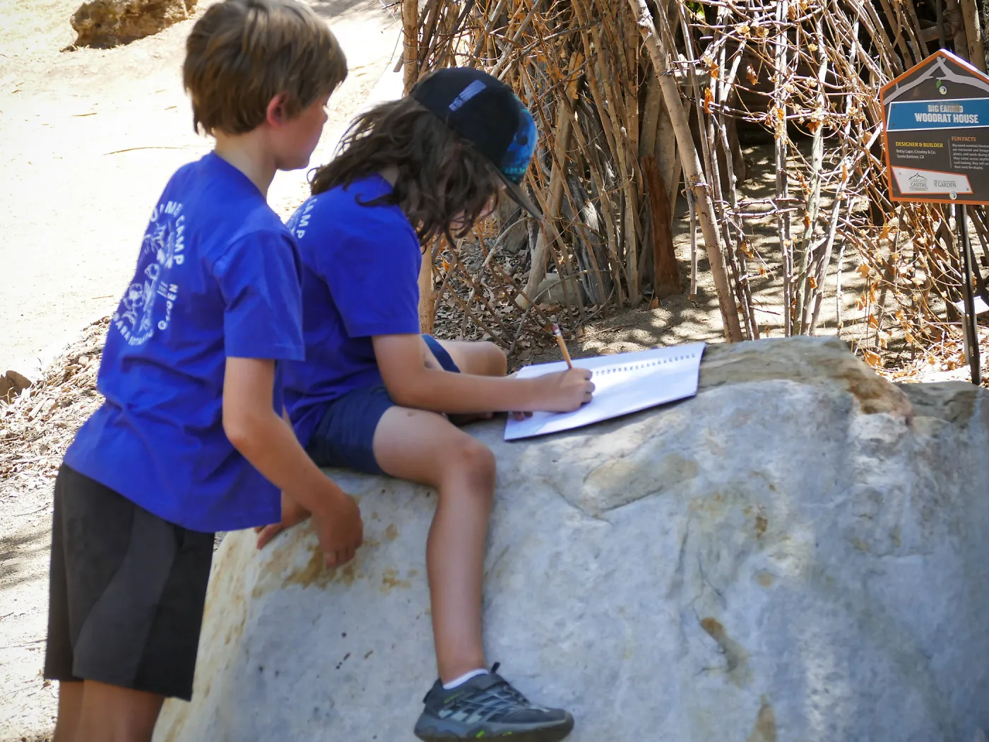 Plantastic Problem Solvers Summer Camp