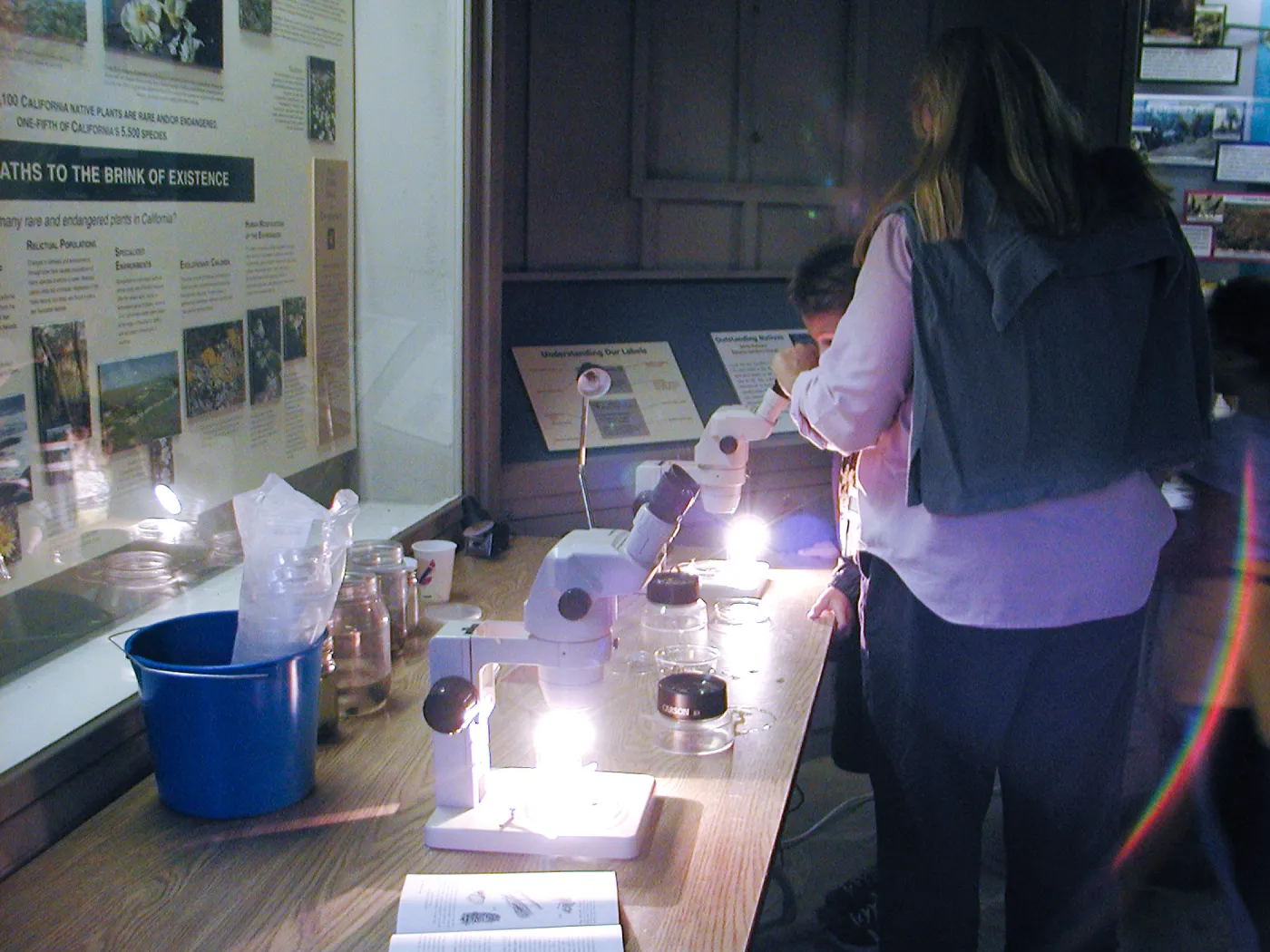 Great Garden Nature Night, lab in Information Kiosk