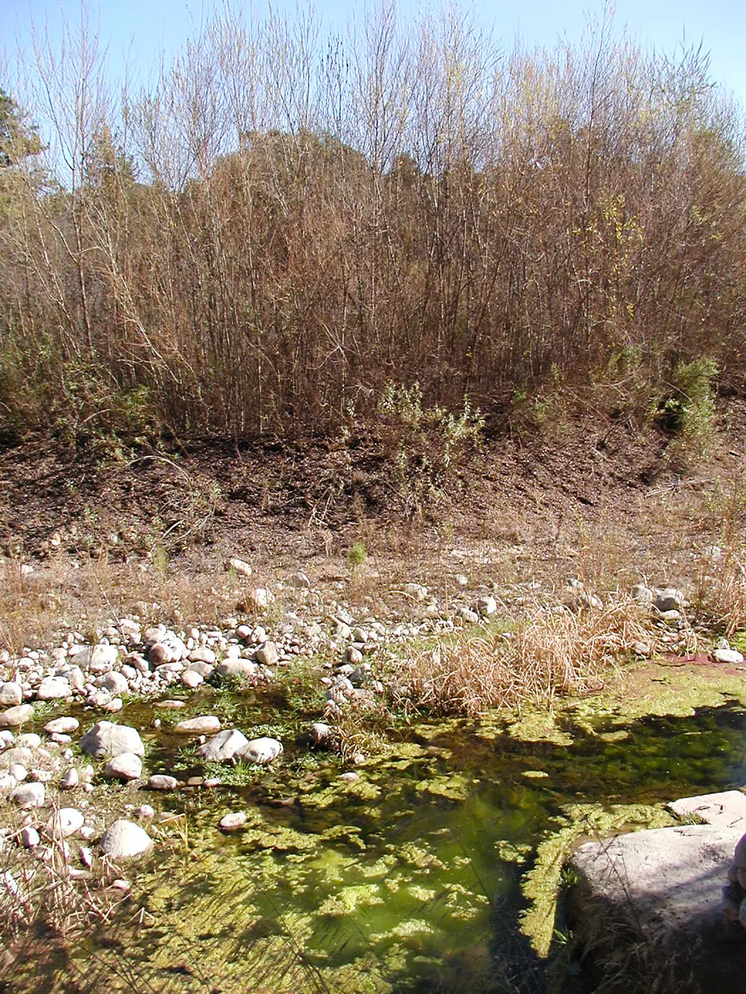 Lake Casitas boat tour