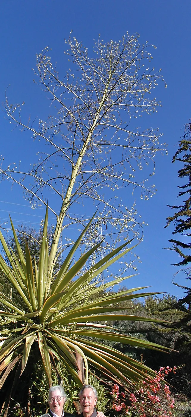 Lake Casitas boat tour, Nancy, Bob, and the giant plant